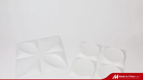 Modern Plastic 3D Wall Panel/Board for Interior Wall Panel or Garden 
